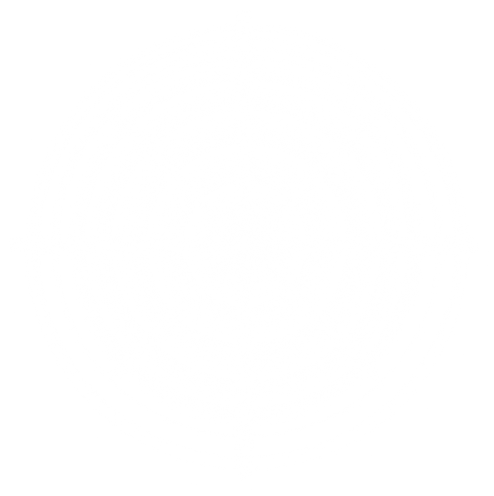 white star lens flare
